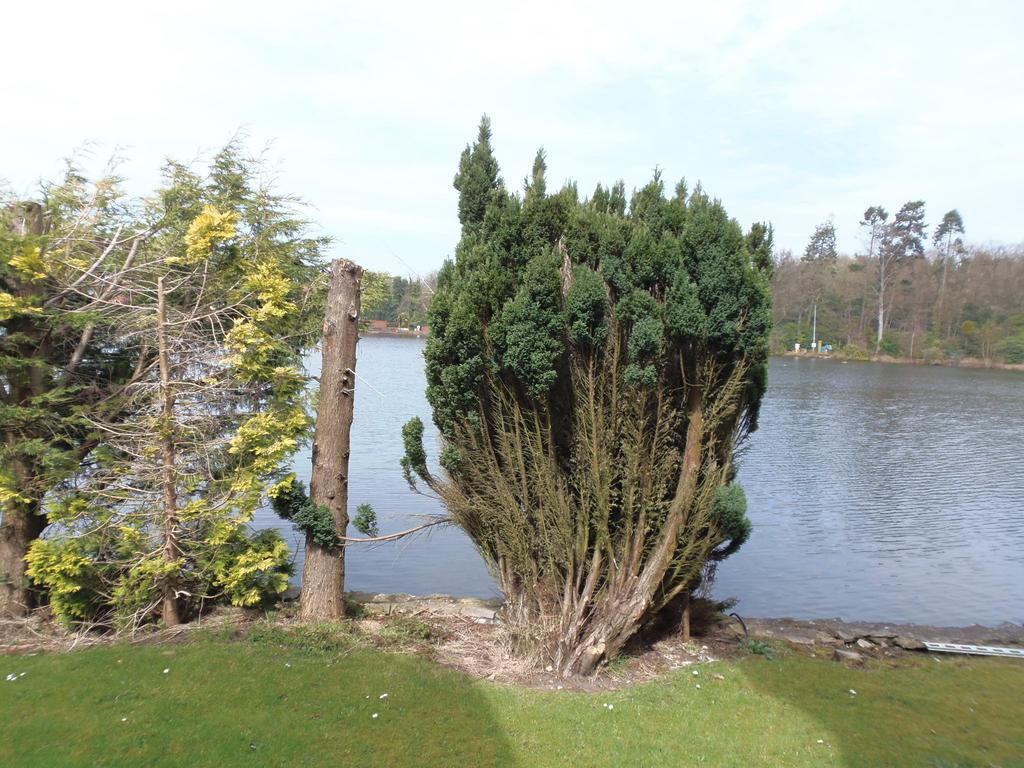 Lakeside Continental Hotel Camberley Eksteriør billede